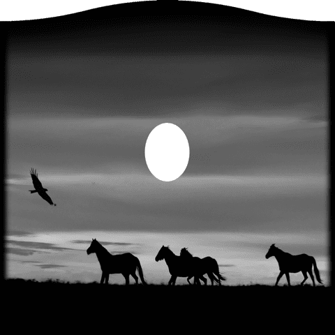 Animals 417
