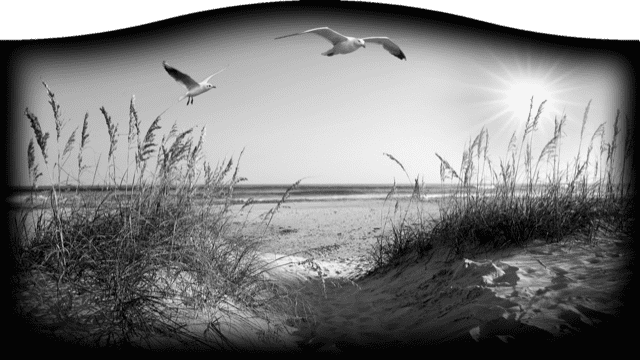 Beach 530