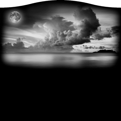 Beach 532