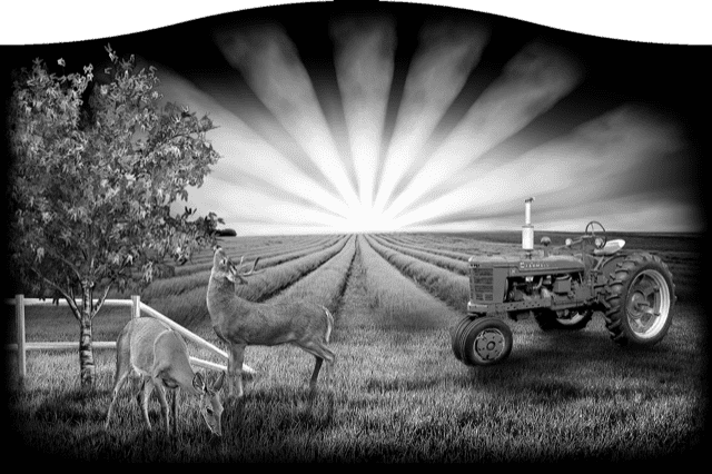 Farm 216