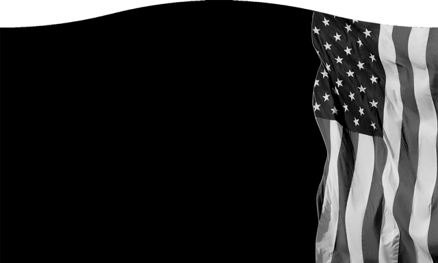 Flags 861
